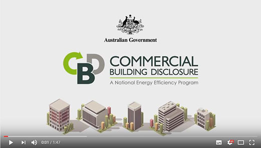 This is an image of the CBD youtube video